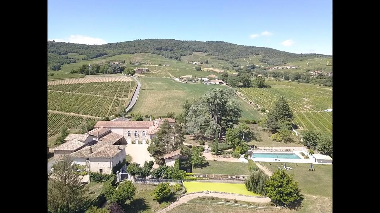 Domaine De La Baisse Villa Saint-Etienne-la-Varenne Exteriör bild