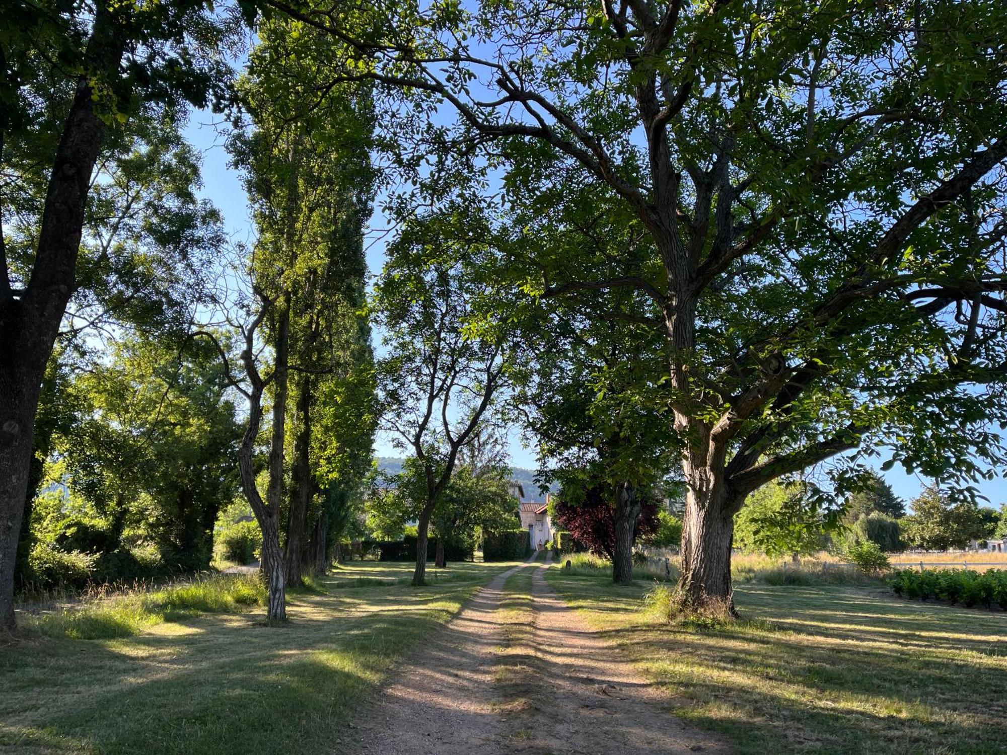 Domaine De La Baisse Villa Saint-Etienne-la-Varenne Exteriör bild